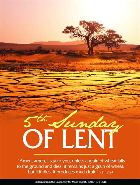 Fifth Sunday Of Lent 2024 Homily Ami Lindsay