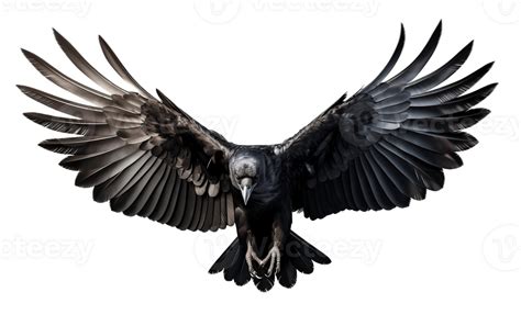 Ai Generated Flying Crow Isolated On Transparent Background 41453400 Png