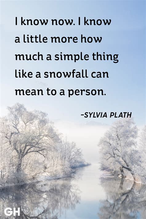 Snow Day Quotes Funny - ShortQuotes.cc