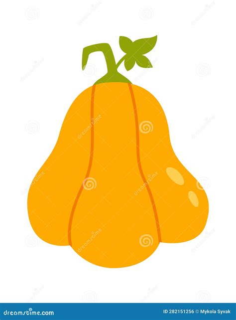 Ripe Pumpkin Vegetable Stock Vector Illustration Of Seasonal