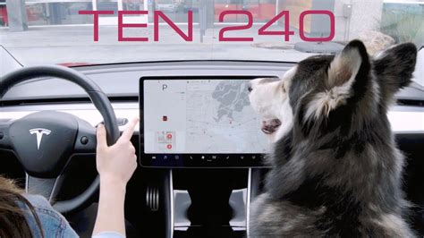 Tesla Dog Mode Amazon Invests In Rivian Kia Soul Ev Rated Ten