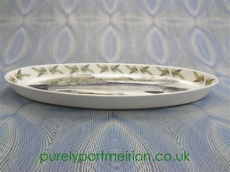 Portmeirion Pottery Compleat Angler 19 Inch Oval Baker Fish Platter