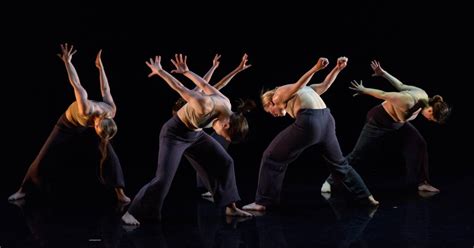 Flock Fest Artist Call Out Northern School Of Contemporary Dance