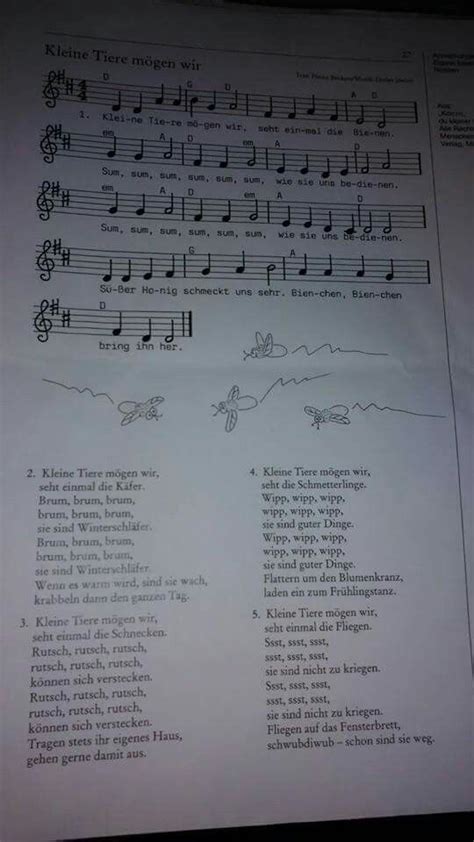 Lied kleine Tiere | Kindergarten lieder, Kinder lied, Kinderlieder