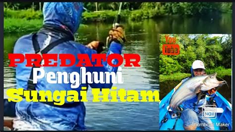 Sungai Hitam Pedalaman Hutan Kalimantan Spot Mancing Trolling