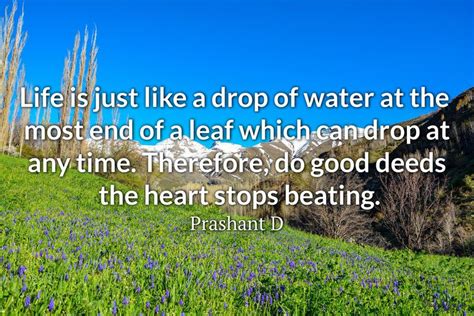 20 Water Drop Quotes