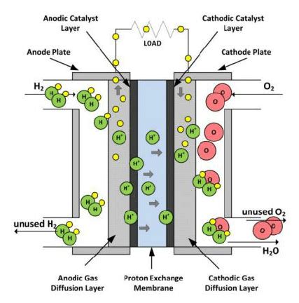 Proton Exchange Membrane Fuel Cell Schematic Representation Based On