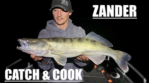 Zander Catch Cook WildFishTV YouTube