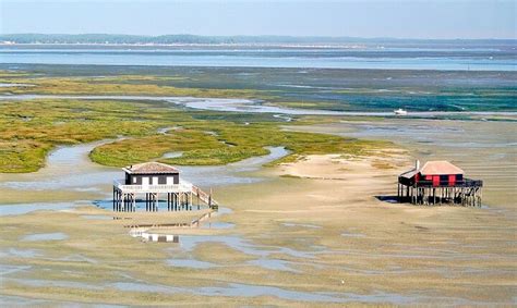 Bassin d Arcachon Cabanes tchanquées Territorio Trail Media