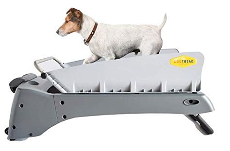 11 Best Dog Treadmills (Buying Guide)