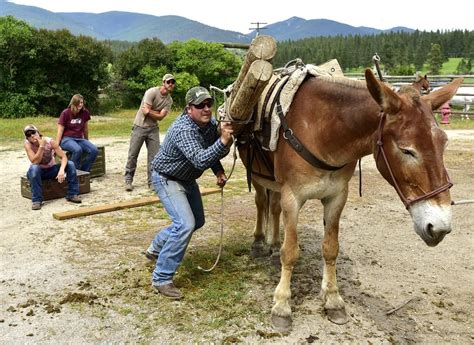 Camping Packing Pacific Nw Gold Rush Best Teacher Montana Mules