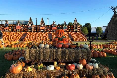 Best Corn Mazes and Pumpkin Patches for Fall Fun | Cheapism.com