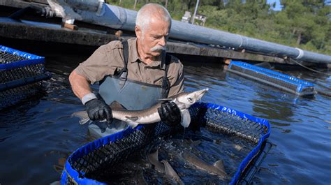 How To Start A Fish Farming Business Small Business Trends