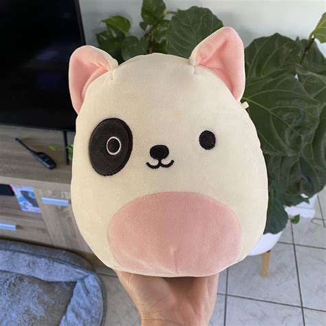 8” Charlie The Bull Terrier Squishmallow Has Tags Depop