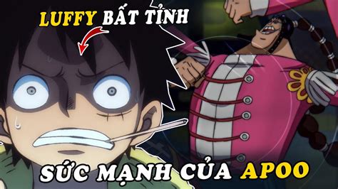 S C M Nh C A Apoo Si U T N Tinh Ch M Tr Ng Zoro Nh Ng T Luffy