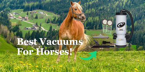 The Best Horse Vacuum Cleaners Equiniction