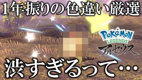 【神ゲー】1年振りにレジェンズアルセウスで出た色違いが渋すぎた【ポケモンレジェンズアルセウスpla】 ポケモン関連情報のまとめ動画