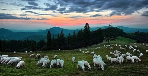 Pieniny Ciekawostki O G Rach Pieninach Trzy Korony Co Tutaj Zobaczy