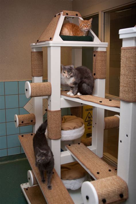 20 Unique Cat Tree House DECOOMO