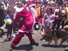 Navidance Este Viejo Pascuero La Rompi Con Su Ritmo En Las Calles