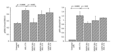 Effect Of Hmw Ha Mmw Ha And Lmw Ha On Erk And Nf B Signal Pathway