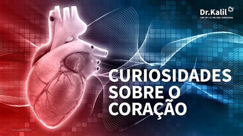 Curiosidades Sobre O Coracao - Curiosidades sobre o coração - YouTube