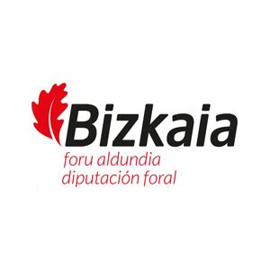 Diputación Bizkaia Pixelware