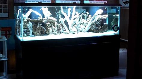 180 Gallon Reef Tank Build Part 1 Youtube