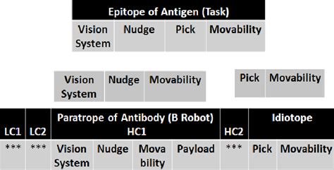 Response of the antibody to a complex antigen (task). | Download ...