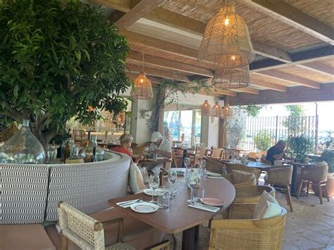 Le Petit Patio Golfe Juan Vallauris Restaurant Reviews Photos