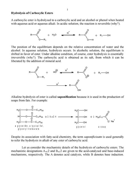 Bac Mechanism Of Ester Hydrolysis