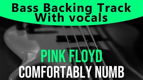 Pink Floyd Comfortably Numb Bass Backing Track Bassless YouTube