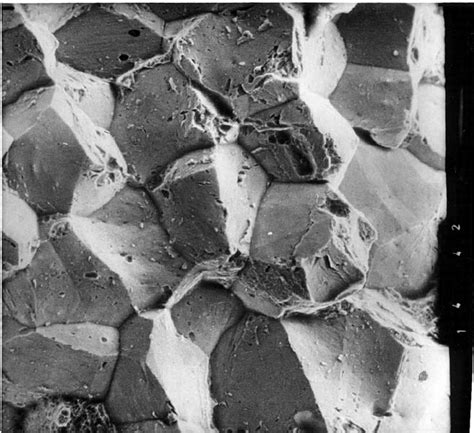 Sem Image Of Intergranular Fracture Of Fe C Mn P Steel After