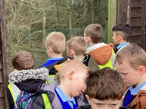 Blackpool Zoo Visit Layton Primary School