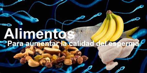 Alimentos Saludables Para Aumentar El Esperma Naturline Sex