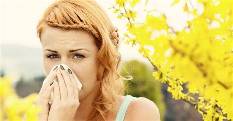 Devon Gps Six Tips On Coping With Hay Fever As Pollen Levels Rocket Devon Live