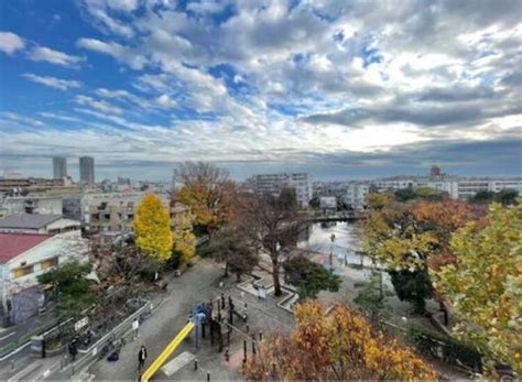 清水池ニュースカイマンションの中古マンション物件情報｜東京都 目黒区 学芸大学駅【ミノリノ】（物件id Z