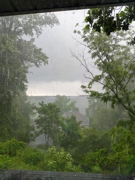 Its still raining, and it's still beautiful : r/raining
