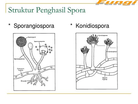 leonardus ssi powerpoint    id