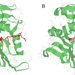 A) The experimental co-crystal structure of dihydrofolate reductase. B)... | Download Scientific ...