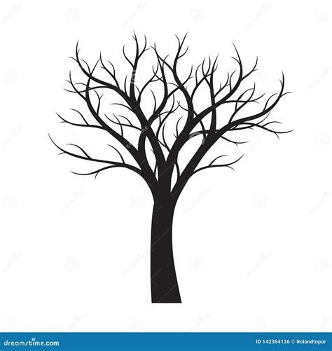 Naked Tree Silhouette On White Background Fine Detailed Realistic