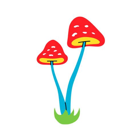 340+ Drawing Of The Hallucinogenic Mushrooms Stock Illustrations ...