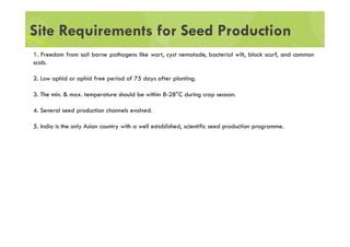 Potato Seed Production Systems Ppt