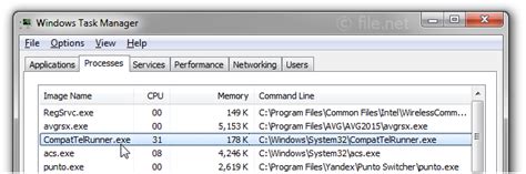 CompatTelRunner.exe Windows process - What is it?