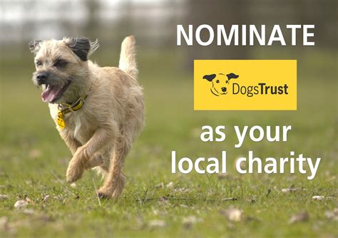 Dogs Trust Do You Love Dogs Trust And Live Near A Sainsburys If So