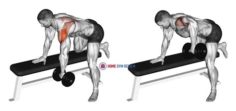 Dumbbell Rear Delt Row Shoulder Home Gym Review