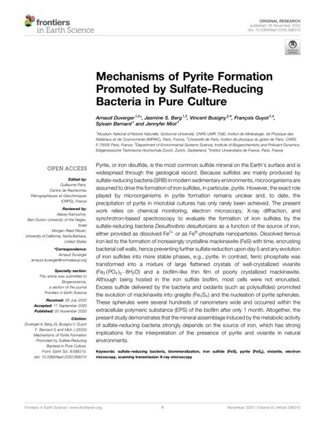 (PDF) Mechanisms of Pyrite Formation Promoted by Sulfate-Reducing ...