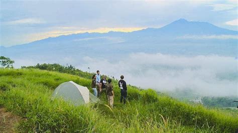 Bukit Alesano Bogor Spot Camping Hits Dengan Hamparan Kerlip Bintang