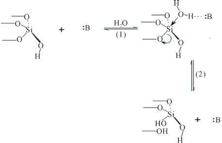 general base catalyzed mechanism    general base