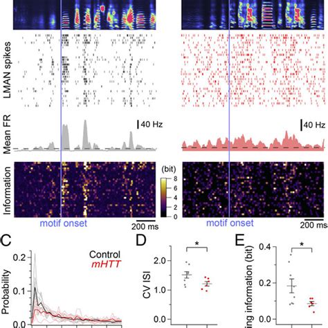 Abnormally Regular LMAN Activity With Less Timing Information In MHTT